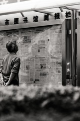 _IMG1036_DxO