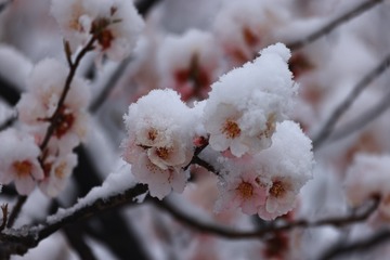 5BAB747D-9FE7-467B-B958-E390550EE053/L0/001