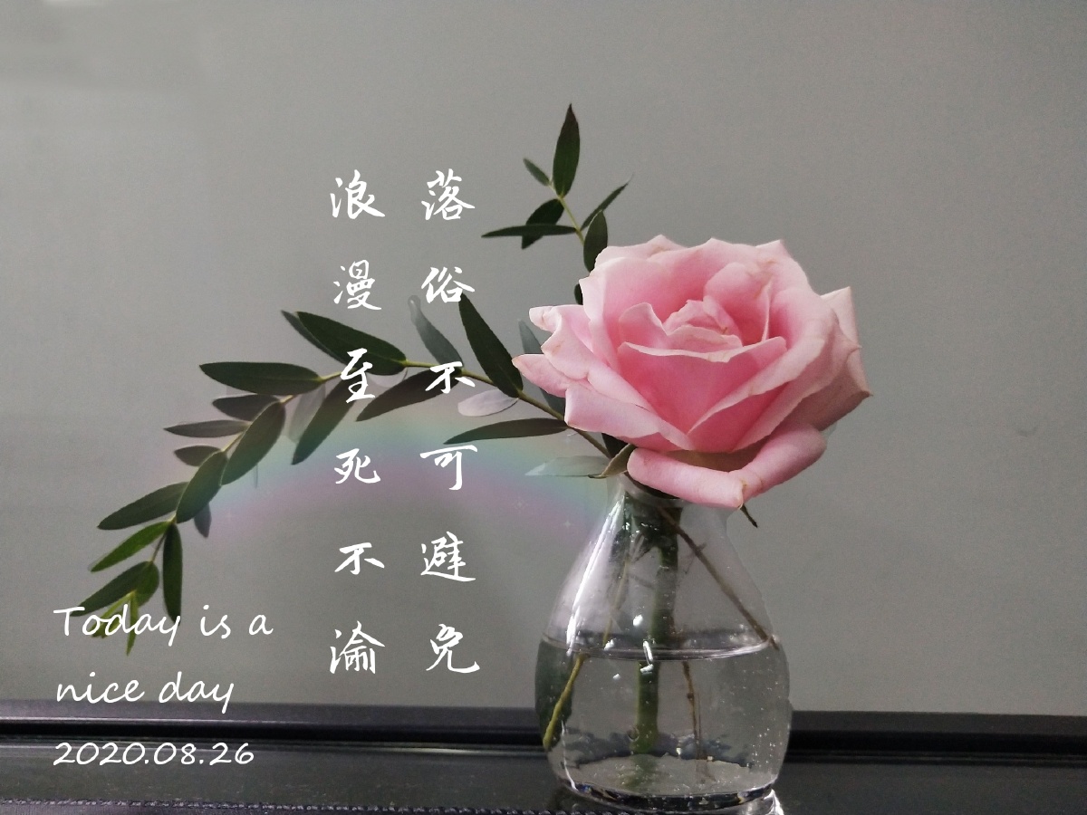 落俗不可避免浪漫至死不渝啊