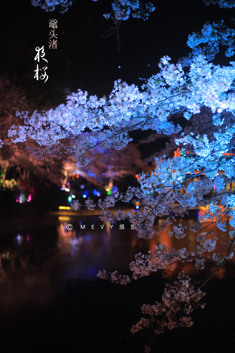 800_1200竖版 竖屏