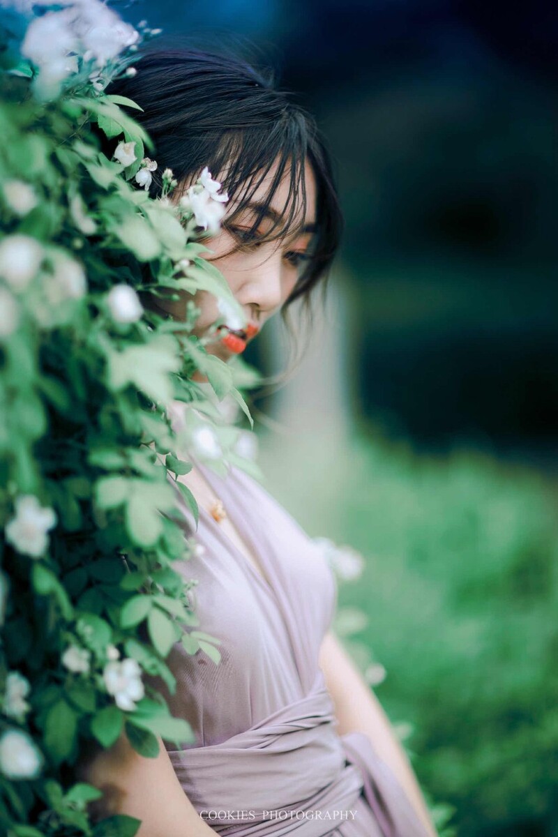 逝去的花期