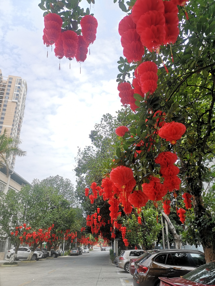 2021年2月19日南宁市的某小区依然红灯笼高挂春节的气氛还弥漫在树上