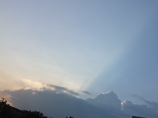 3837228