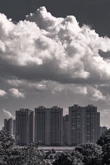 998828