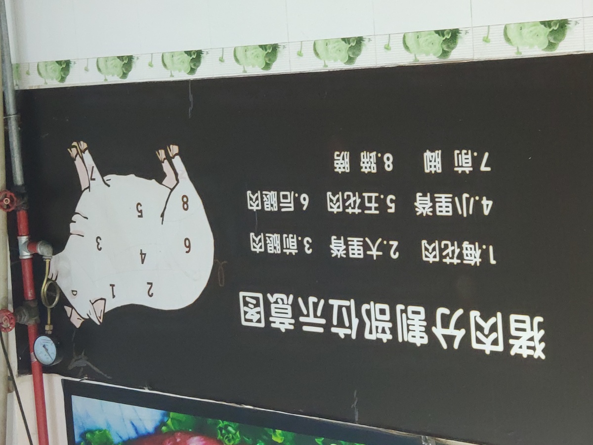 嘘送给各位六一的福利大猪蹄子随便切略略略