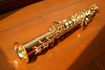 50263
