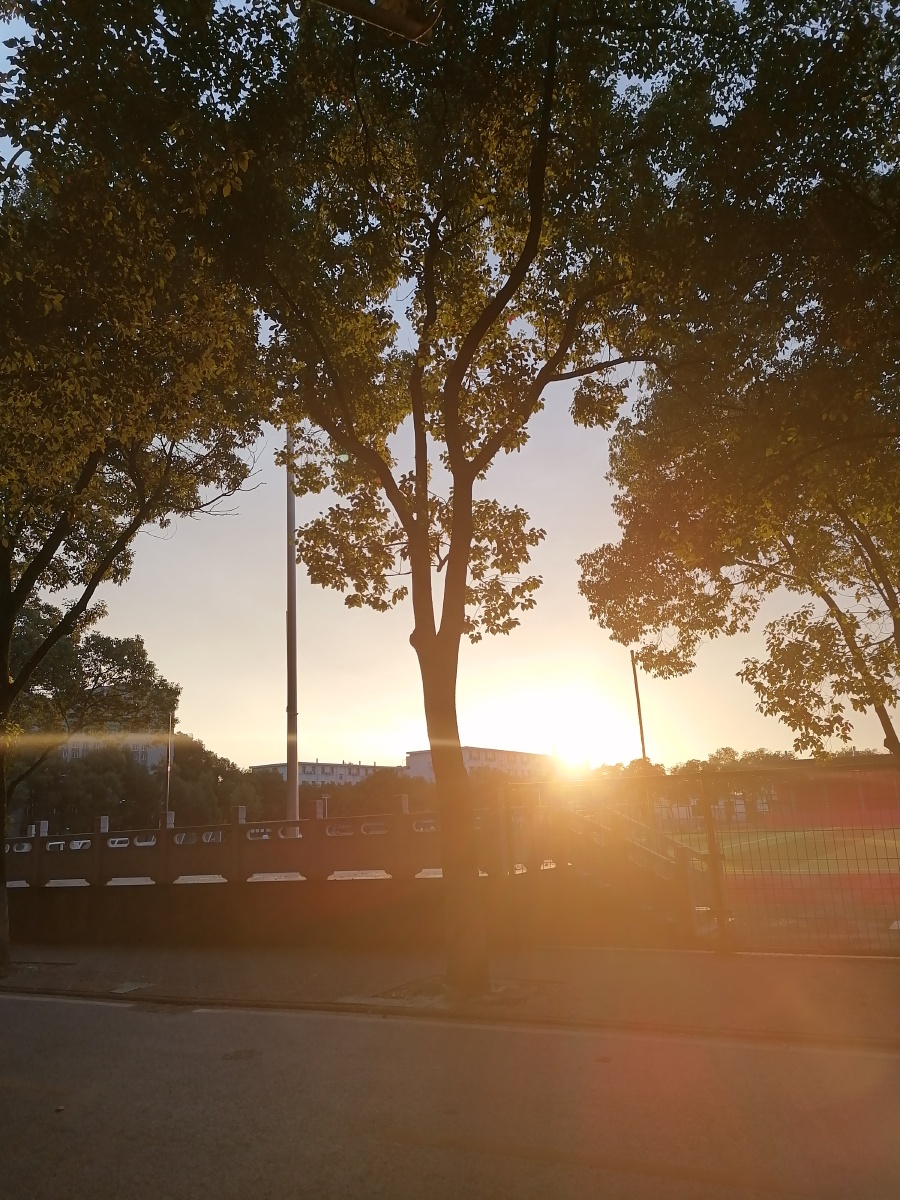 落日余晖 - 醒初暮 - 图虫