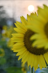 D30816F0-EB84-4952-980A-1E8F9E7D0F99/L0/001