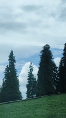 1000011088