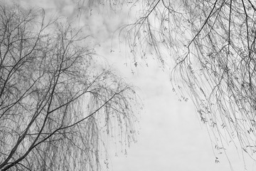 _SDI0356_DxO111