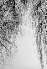_SDI0354_DxO111