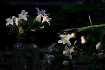E77194CF-F802-4371-8D9C-28D32B5D5D77/L0/001