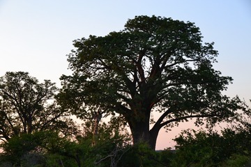DSC_1071！