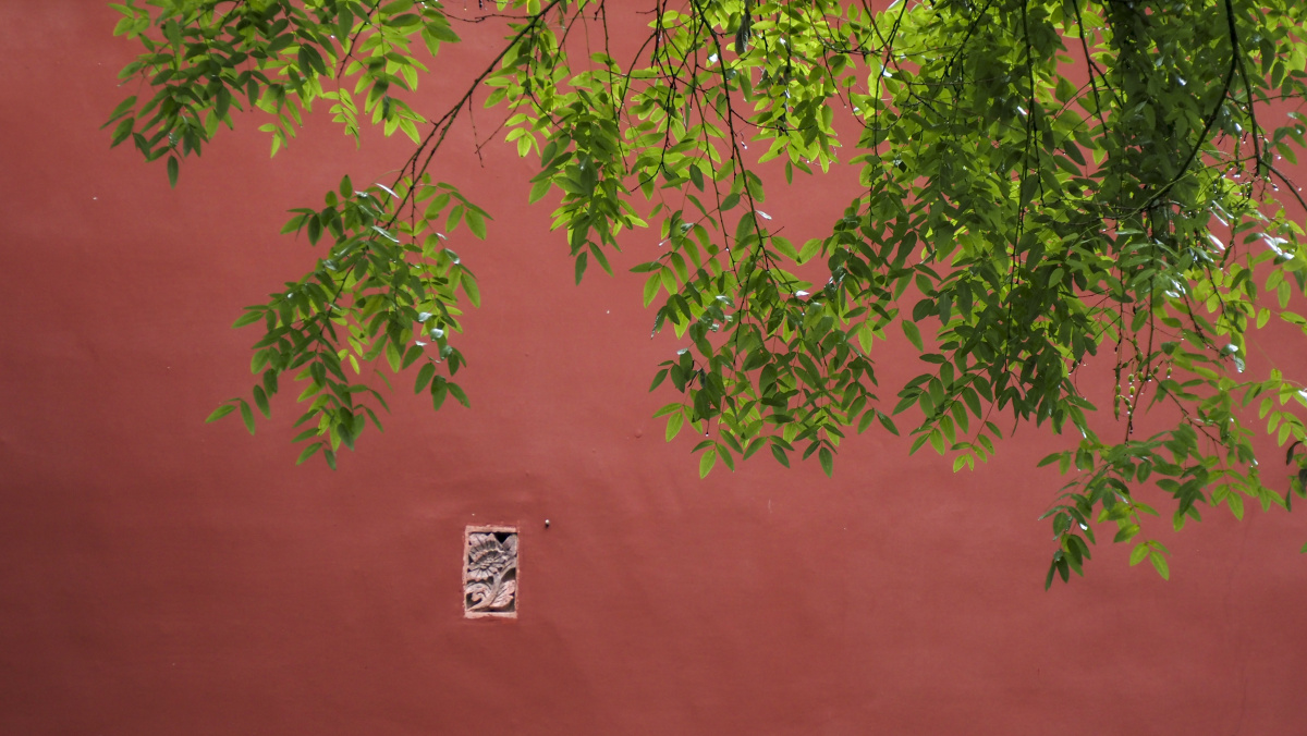 一场秋雨湿了故宫红了石榴