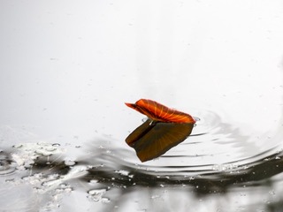 644347