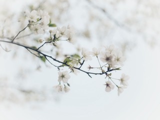 FB3B1ECE-E9E7-4E94-9403-6076B8B90782/L0/001