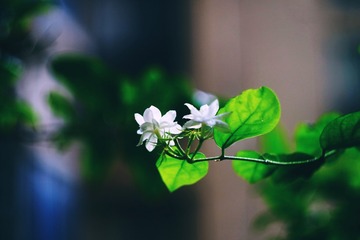 C70B8E90-0C23-4F3C-AACC-67B11E565F33/L0/001