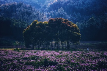 61737306-5D16-409D-91F3-ACFFF100BBD6/L0/001