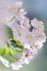 C61C625D-13F6-4939-8722-9A53DA5FD967/L0/001