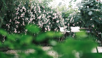 D9713FF8-98E0-4BDF-BE83-3E4B7083AB09/L0/001