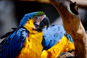 6571686D-18F7-4A0F-9AF3-448BC0BB89FB/L0/001