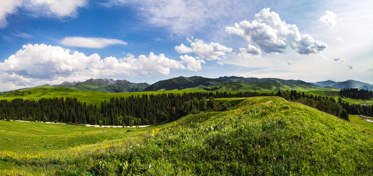 唐布拉草原百里画廊 - 镜观其变_ - 图虫