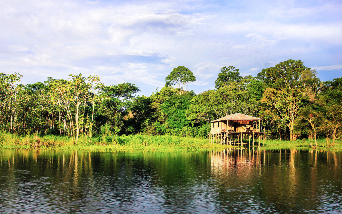 拍摄于巴西亚马逊州