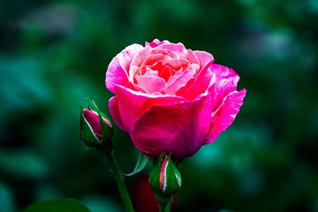 D34B543A-7170-48BD-9F7B-0E4C65257A2A/L0/001