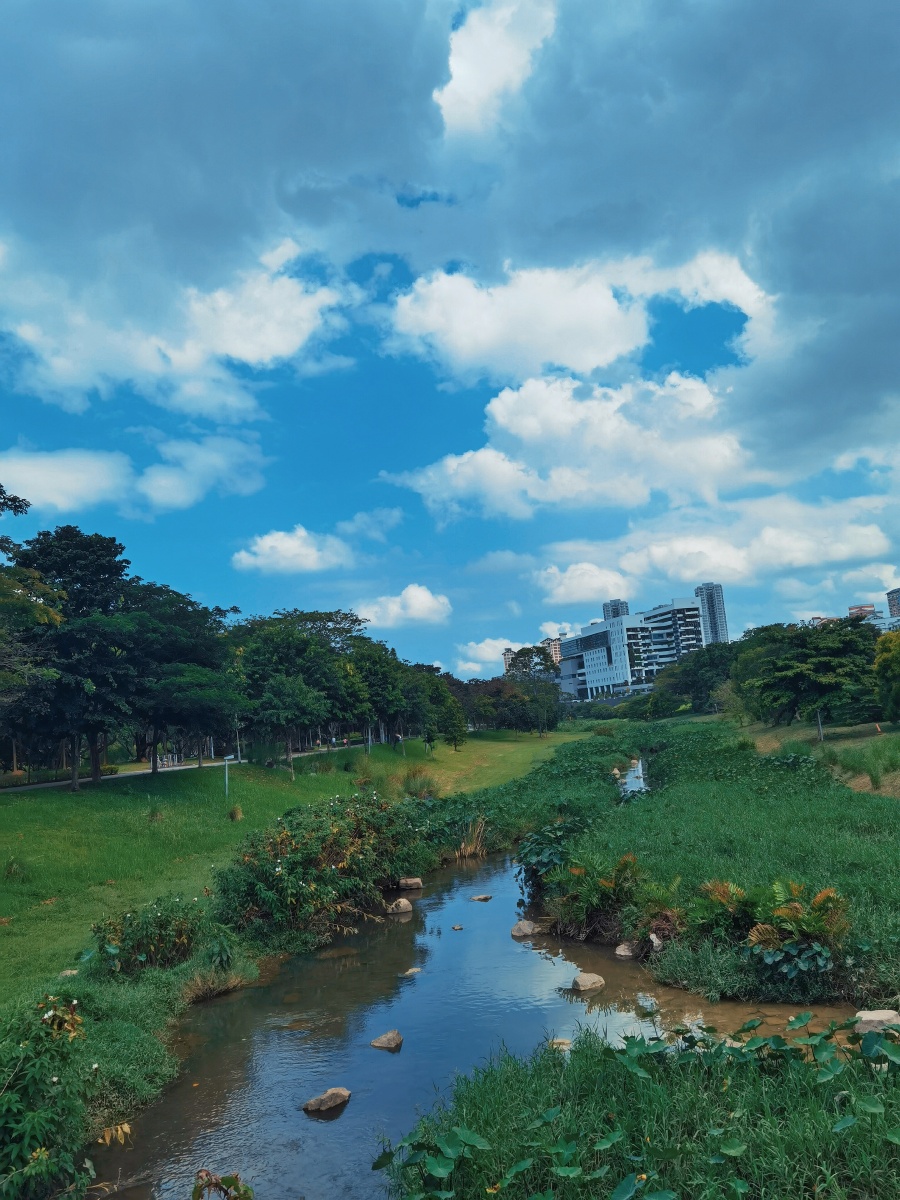 新加坡碧山宏茂桥公园