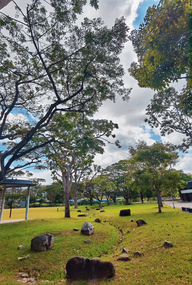 新加坡碧山宏茂桥公园