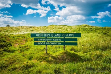 Optional(