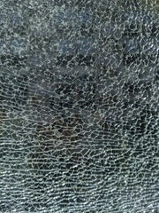 1000081505