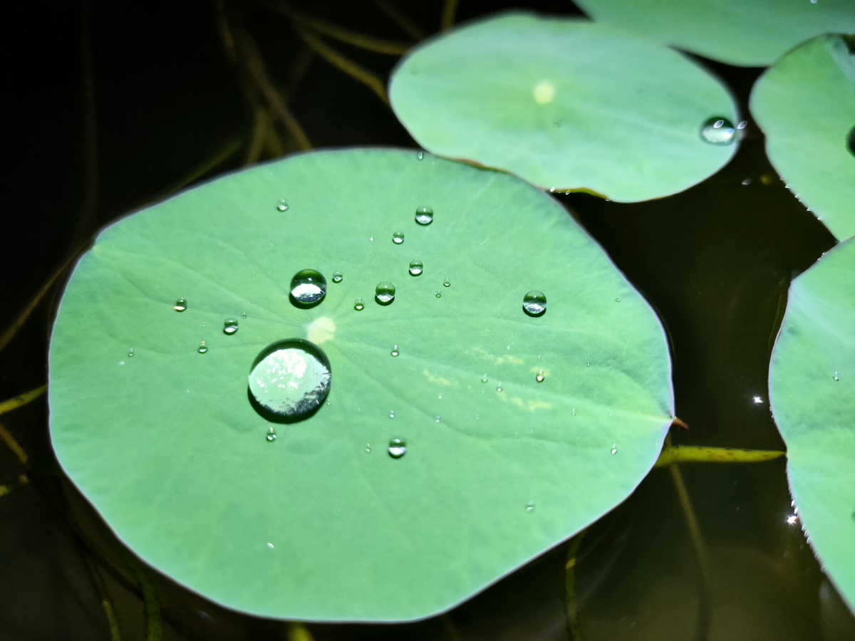 静- 哎呀妈呀呀呀-q - 图虫