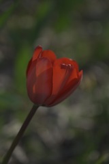 1571305