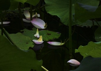 12406