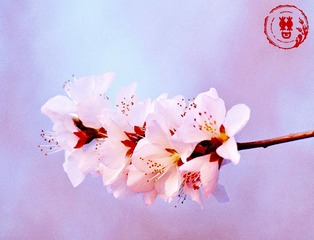 7D4C14F7-0469-4C64-AD13-14E1E189ACA8/L0/001