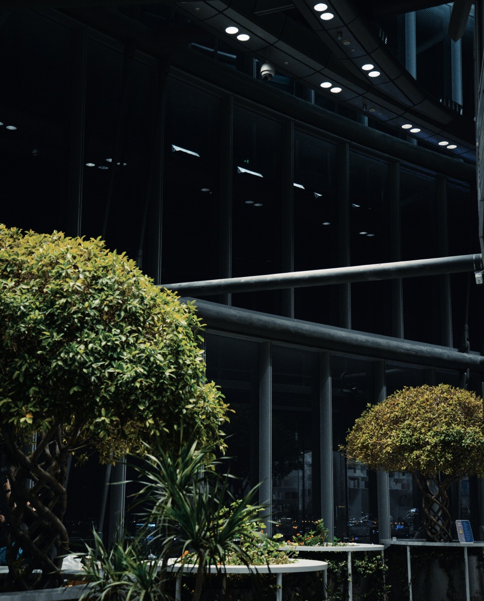 魔都夜景朵云书院视角上海三件套