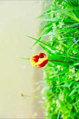 001
