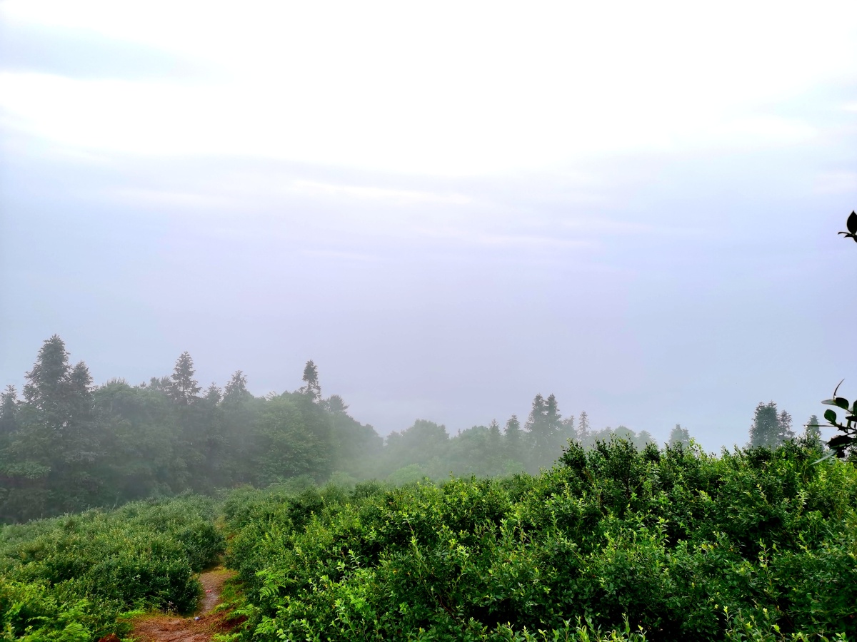 春天的风夏天的雨温柔的你