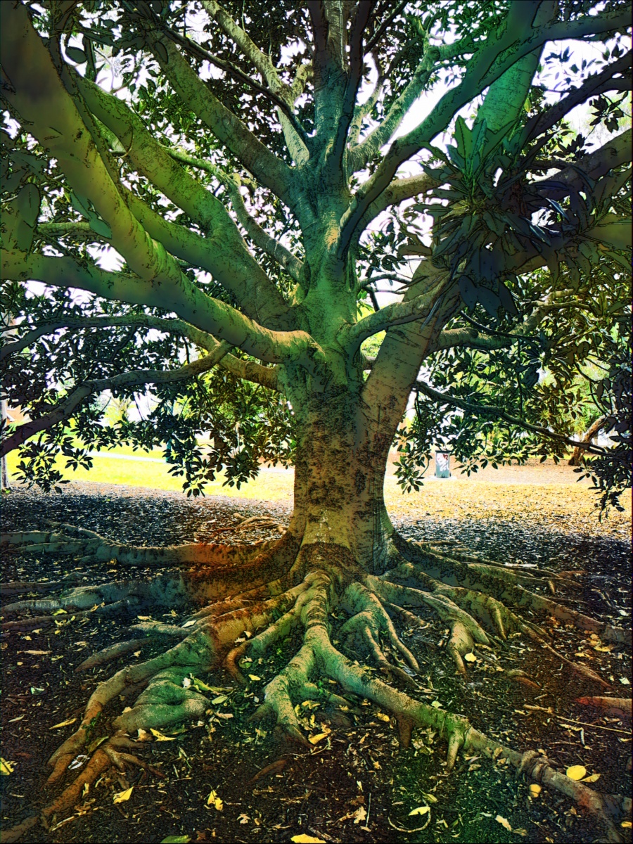 生命之树thetreeoflife