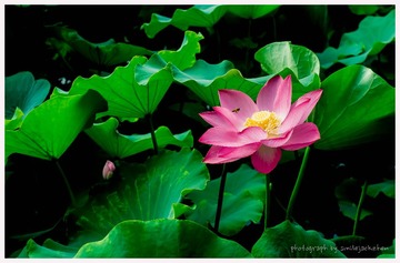 20170701-29