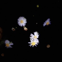 E57500D1-C468-41BB-9FD0-363527511452/L0/001
