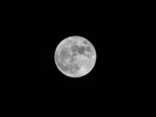 C0C750DF-D599-4AA8-A872-BD5349858452/L0/001