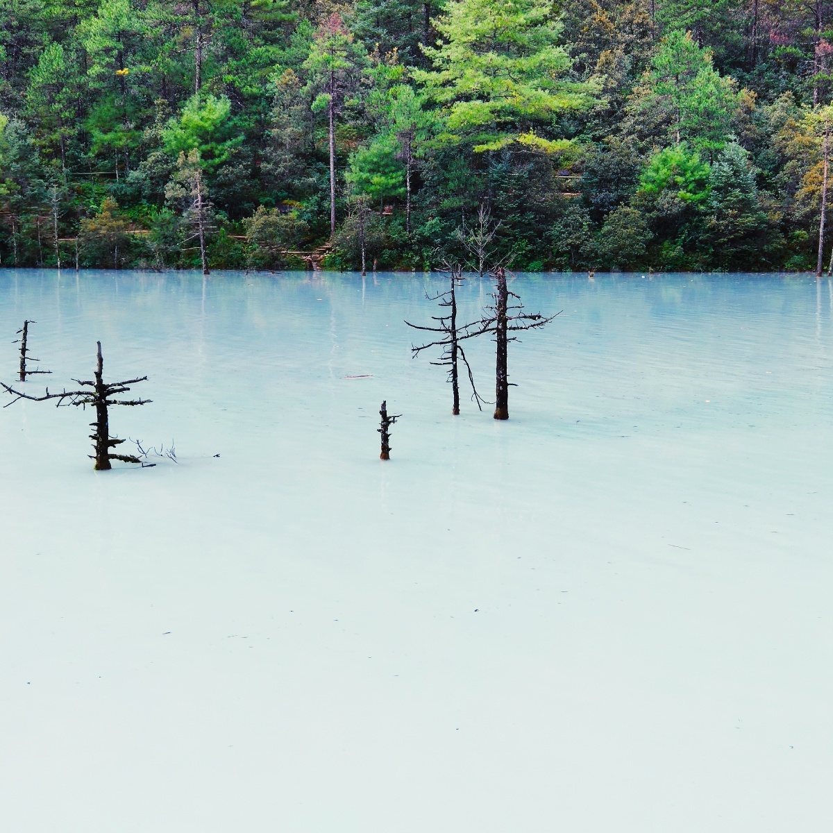 丽江玉龙雪山牛奶湖拍得不知道有生之年能不能有幸再临神山这样朝圣的