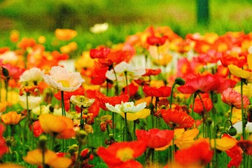 2F2269A8-119C-4F10-875E-0A8D680266A7/L0/001