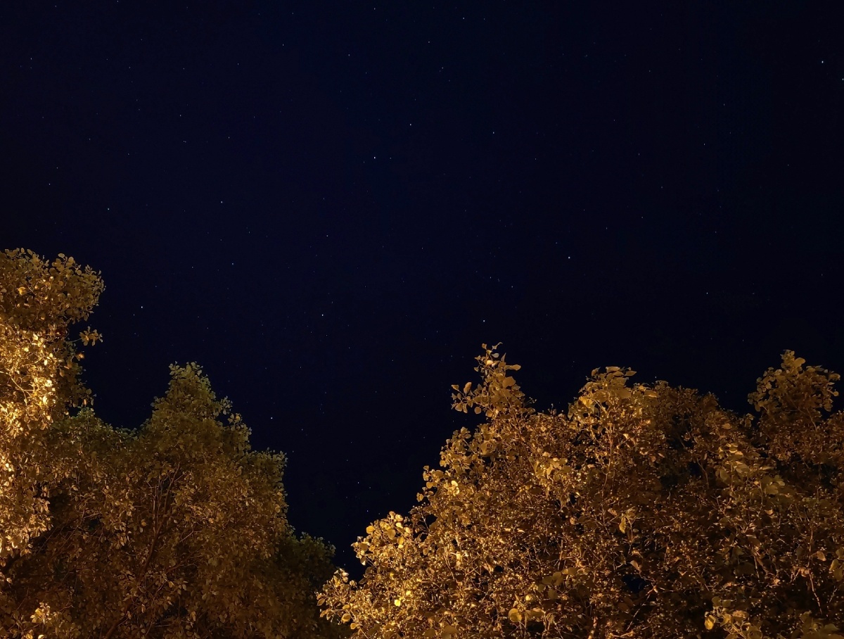 亮度开到最大打开图片
