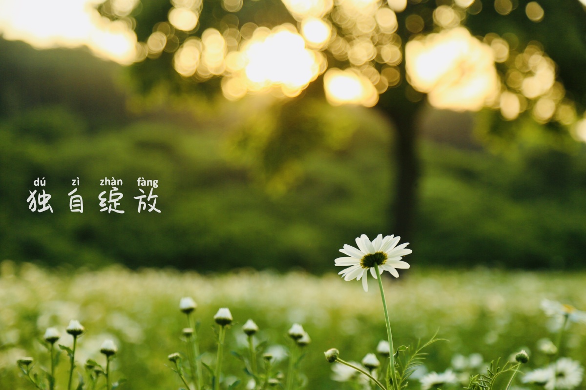 念念不忘必有回响