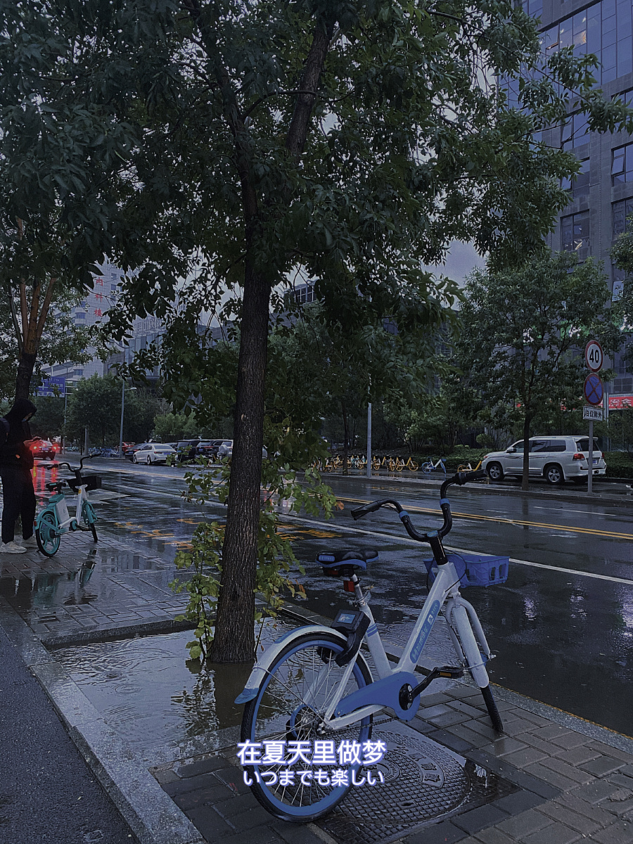 雨淅淅沥沥的下了一整天,消去了这个夏天炎热的气息,清爽的微风一阵阵