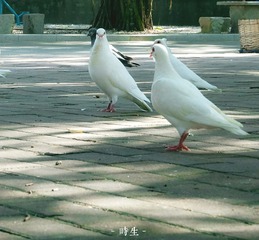D6252180-E469-4107-B100-E26F879A175B/L0/001