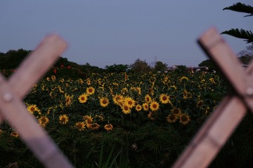 CEB136A0-FD84-46D9-9C24-0808D7677200/L0/001